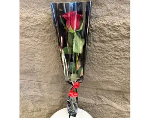 Une roses emballées Rouge 1
