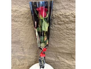 Une roses emballées Rouge 1
