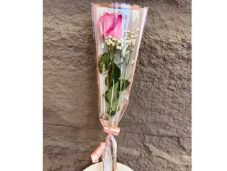 Une roses emballées Rose