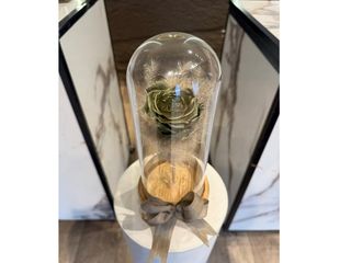 Roses éternelle Green