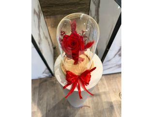 Roses éternelle Rouge