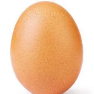 Oeuf