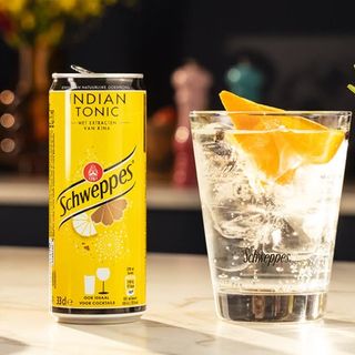 Schweppes Tonic (24Cl) canette