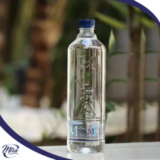 Eau- ( 1 L ) Bouteille