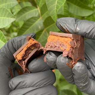 Brownzy protein bar