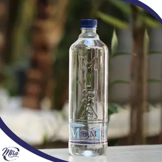 Eau Minérale 1L