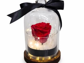 Rose eternelle  Rouge