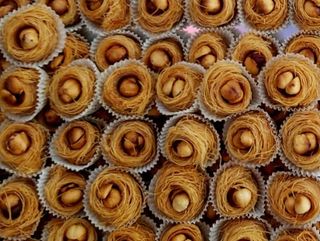 Oche El Bülbül Noisette