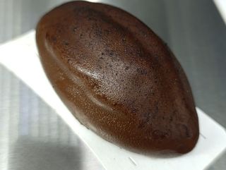 Cabosse Trompe L'oeil Chocolat