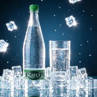garci 1L