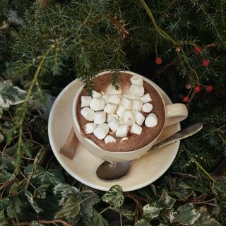 Какао на безлактозному молоці з маршмелоу 260 мл