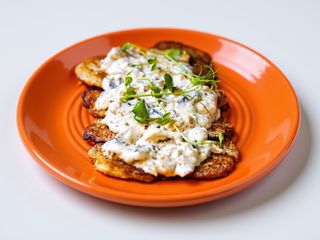 Деруни з куркою та грибами (450г)