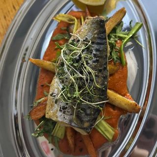 Запечена скумбрія  на томатному соусі з овочами