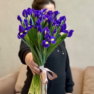 Букет ірисів