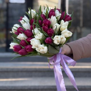 Букет з 45 біло-бордових піоновидних тюльпанів