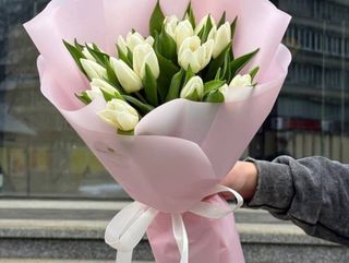 15 тюльпанів