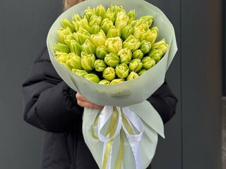 25 лимонних піоновидних тюльпанів