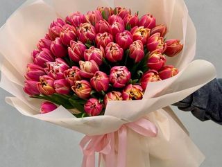 51 піоновидний тюльпан