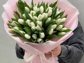 51 класичний тюльпан