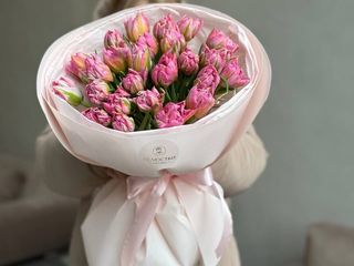 25 рожевих піоновидних тюльпанів