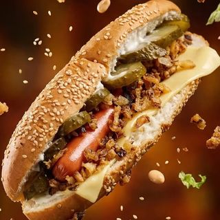 Датський Віллі