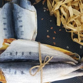 Смугастик королівський