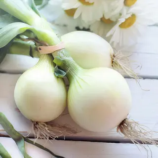 Цибуля маринована (40г)