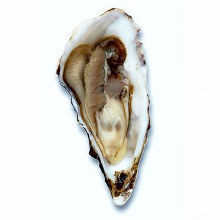 Фін де клер 2