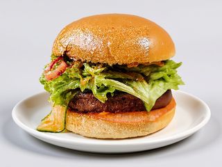 Бургер Vegetarian (300г)