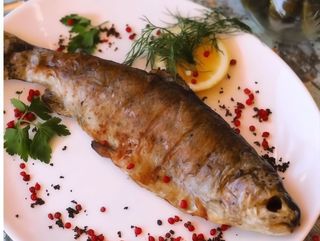 Струмкова форель запечена з травами (240г)