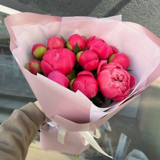 Букет із 11 півоній Корал Шарм