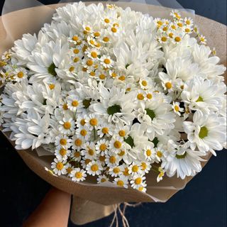 Букет квітів «Ромашко»