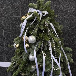 Композиція «Різдвяна красуня»