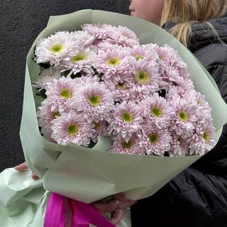 Букет із 7 Хризантем Рожевих
