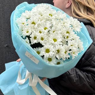 Букет із 7 Хризантем Чік біла