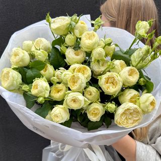 Букет кущових троянд Аяла 13 шт