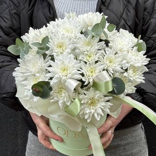 Композиція з 5 Хризантем Балтика біла+евкаліпт