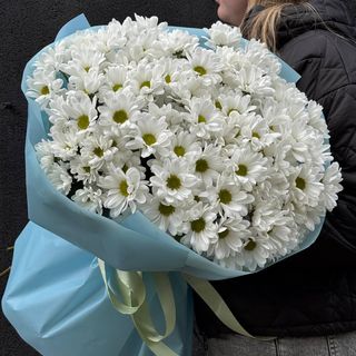 Букет із 15 Хризантем Чік біла