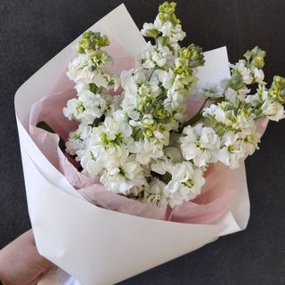 Букет із 7 Білих Матіол
