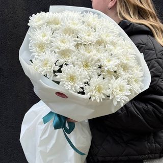 Букет із 9 Хризантем Балтика біла