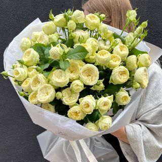 Букет кущових троянд Аяла 19 шт
