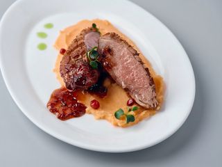 Качина грудка з пюре батату  ( 370 Г)