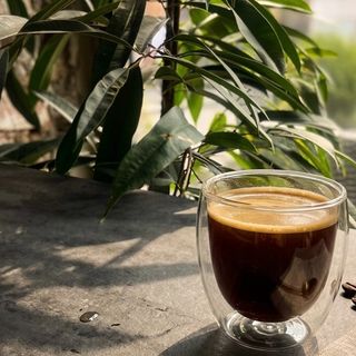 Double Black