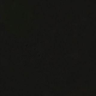 Каре з молодої телятини