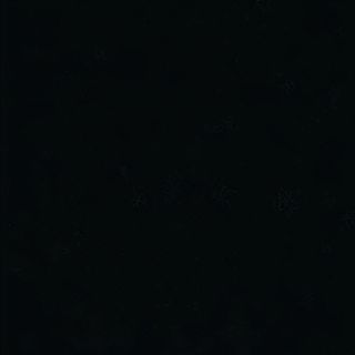 Шашличок з сьомги з рисом