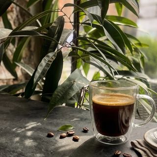 Double Black