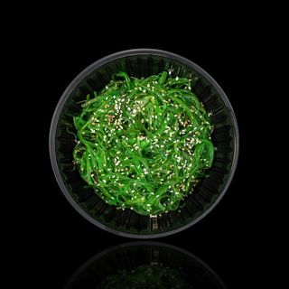 Салат Чука (120 г)