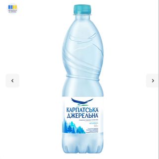 Карпатська джерельна не газована (500мл)