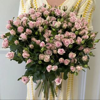 21 рожева кущова троянда Лейла