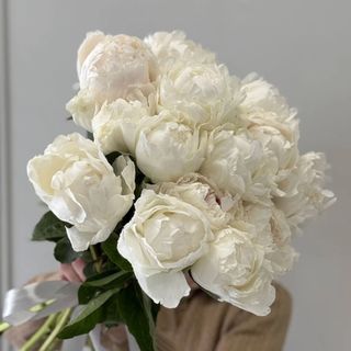 15 голландських білих півоній